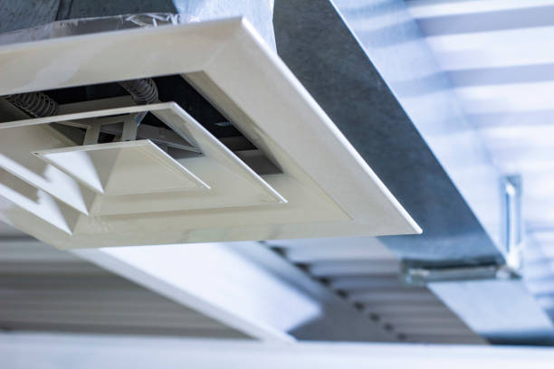 Best Local Air Duct Cleaning Services  in Mila Doce, TX