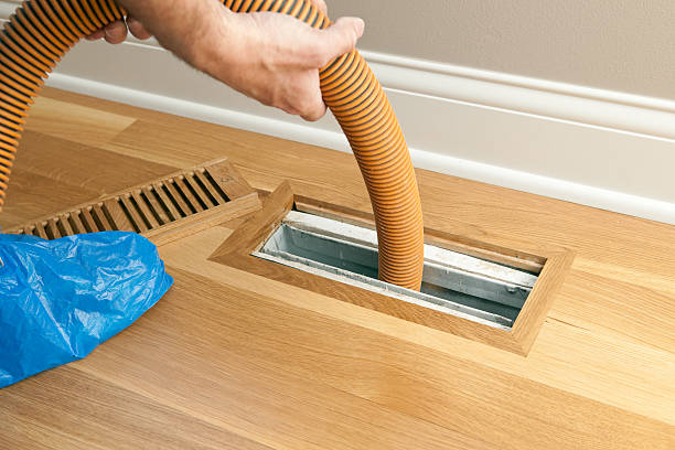 Best Professional Duct Cleaning Services  in Mila Doce, TX